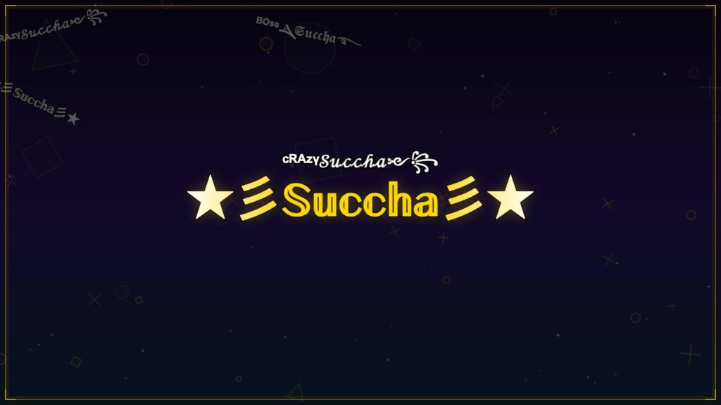 ★彡𝕊𝕦𝕔𝕔𝕙𝕒彡★ – Succha Stylish Name